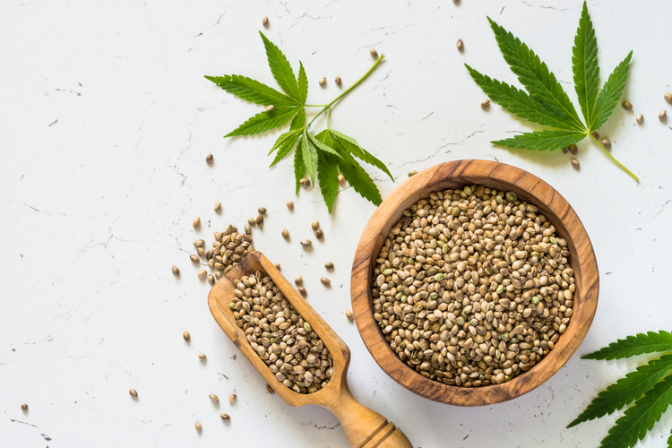 Hemp Seeds and Their Benefits