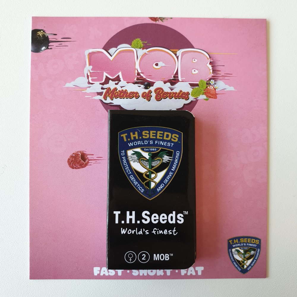 T.H.Seeds™ Cannabis Seeds MOB™, rôzne balenia, feminizované 2 ks