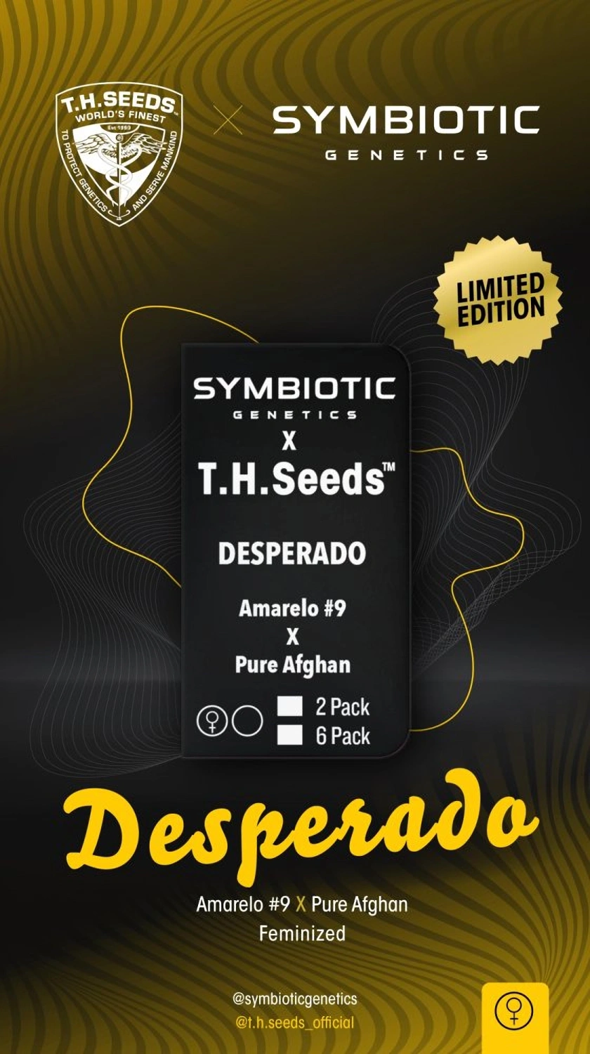 T.H.Seeds™ X Symbiotics Cannabis Seeds Desperado, feminizované 2 ks