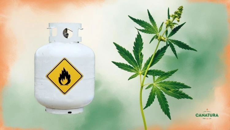 Hydrocarbon extraction, a gas bottle with butane, a cannabis leaf, Canatura logo in the bottom right
