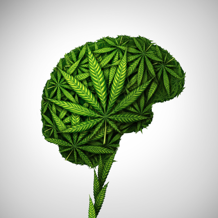 Brain composed of cannabis leaves