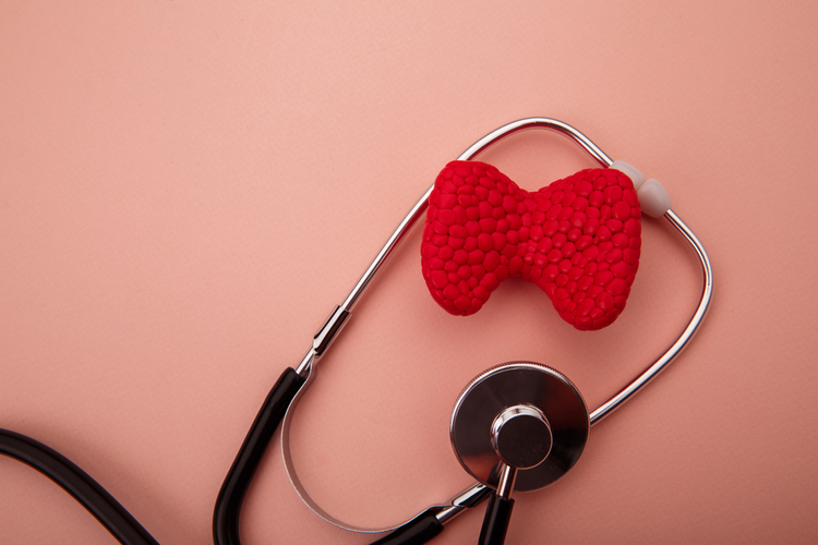 A model of the thyroid gland placed on a stethoscope – a symbol of thyroid examination and health.