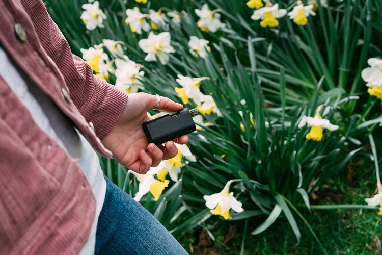 Man holding a portable vaporizer, spring flowers in the background