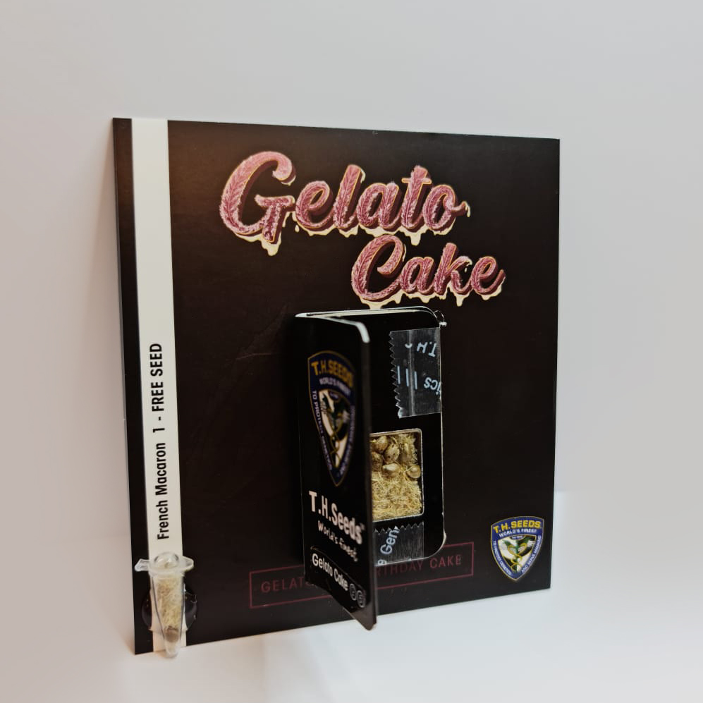 T.H.Seeds™ Gelato Cake z kanabisových semienok, rôzne balenie, feminizované 6+1 ks
