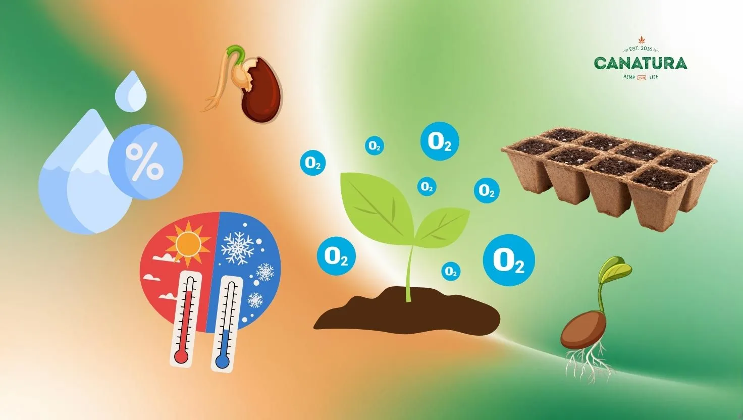 Factors affecting cannabis seed germination – illustration of moisture, temperature, oxygen, soil quality, and germinating seeds