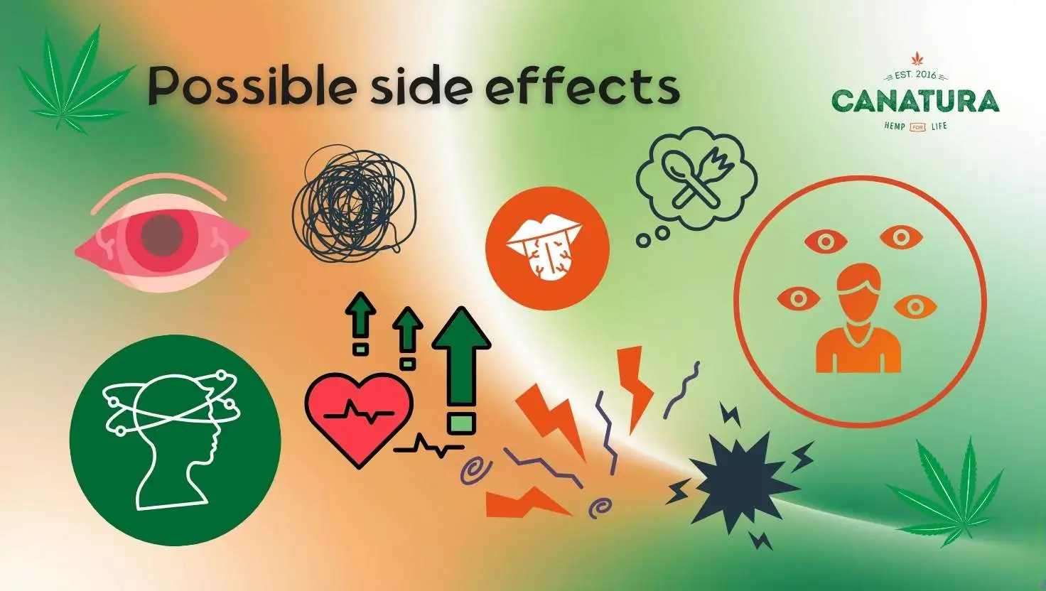 Infographic showing possible side effects of THCX – red eyes, dry mouth, anxiety, paranoia, increased heart rate, dizziness, and appetite, Canatura logo in the upper right corner
