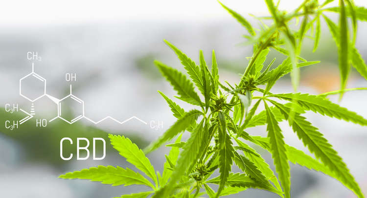 Chemical structure of CBD