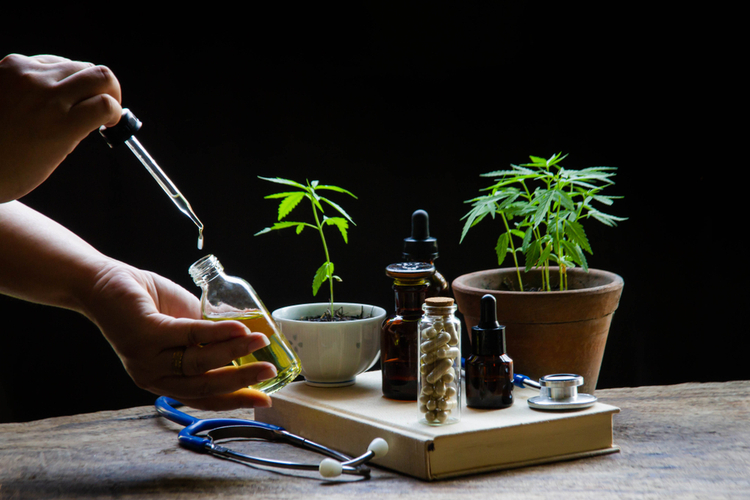 CBD oil in a dropper, bottles and young cannabis plants on a table next to a stethoscope