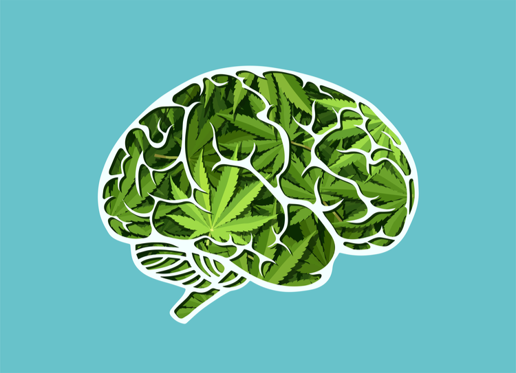 Brain colored with a cannabis pattern