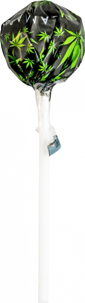 Cannabis Pops – darčeková krabička (10 lízaniek), 24 krabičiek v kartóne, 4320 g