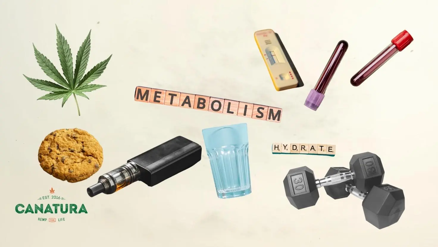 A picture showing the factors that influence how long THC stays in the blood - including consumption pattern, metabolism, use pattern, hydration and physical activity