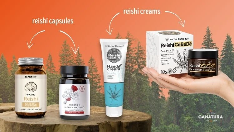 Products with reishi mushroom on a stump, reishi capsules and creams, forest in the background, Canatura logo in the lower right corner