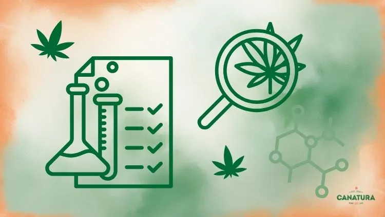 Illustration of HHCH product safety – laboratory testing, checklist and analysis, Canatura logo at bottom right