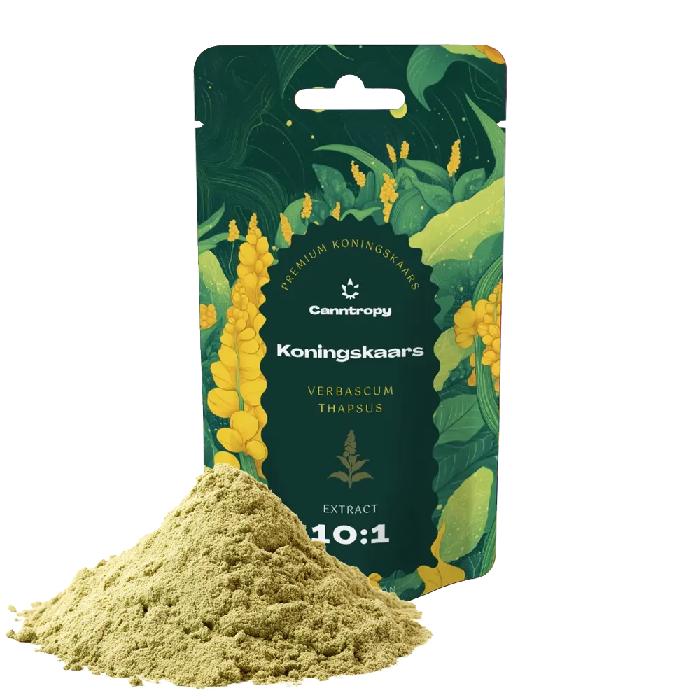 Canntropy Extrakt Koningskaars (Verbascum thapsus) 10:1, 5 g – 100 g 100 gramov
