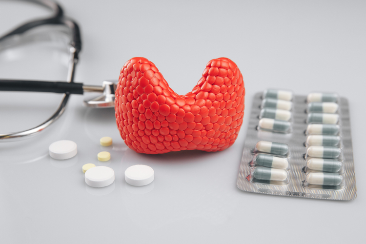 A model of the thyroid gland placed on a table next to medications and medical devices — illustrating thyroid problems and treatments.
