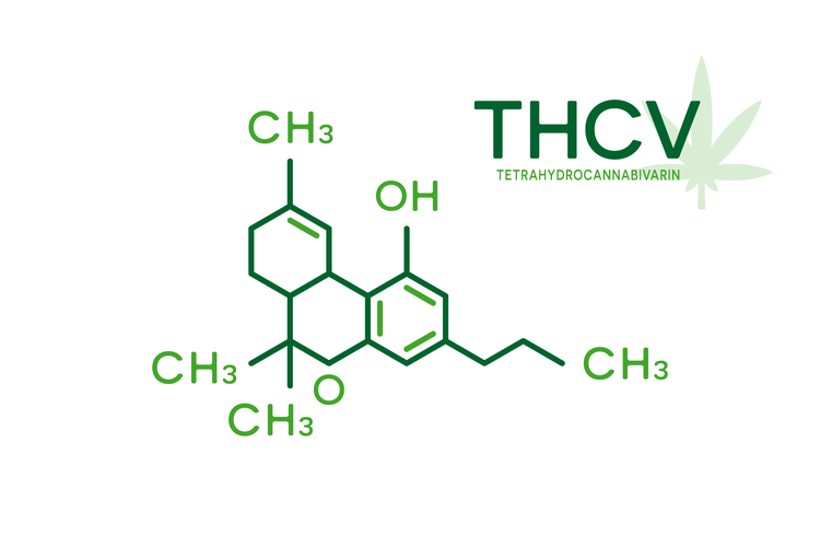 Tetrahydrokanabivarin THCV