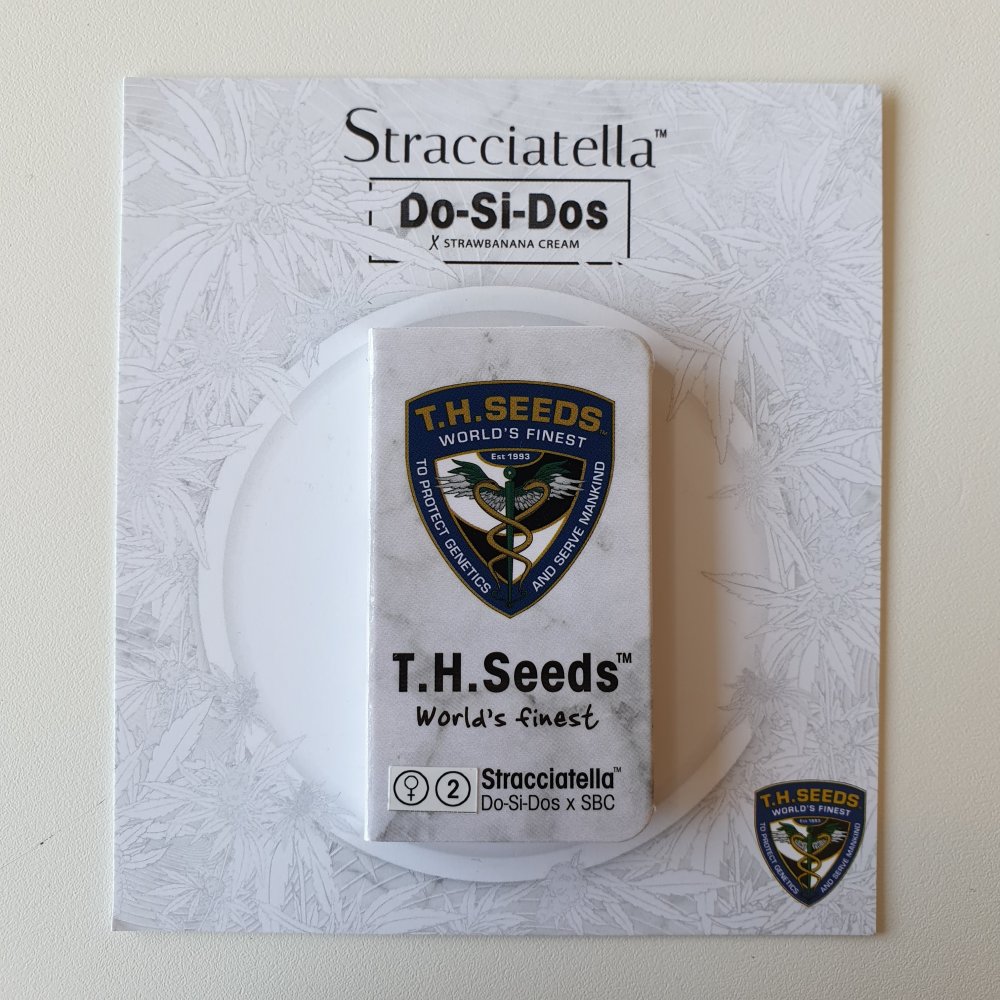 T.H.Seeds™ Cannabis Seeds Stracciatella™, rôzne balenia, feminizované 2 ks