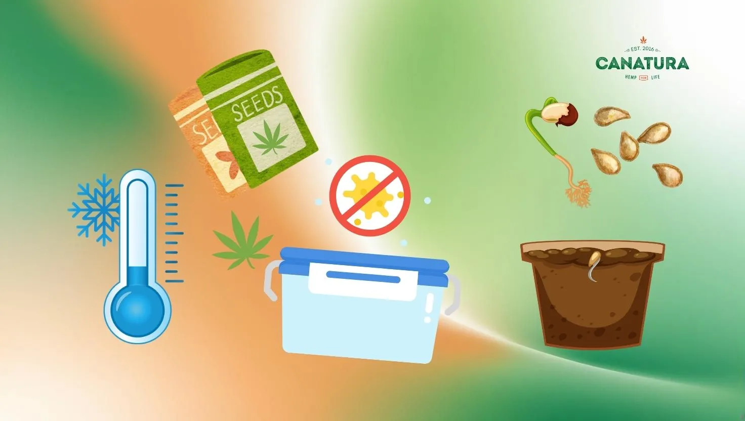 Factors affecting cannabis seed germination – proper storage, low temperature, and protection from contamination