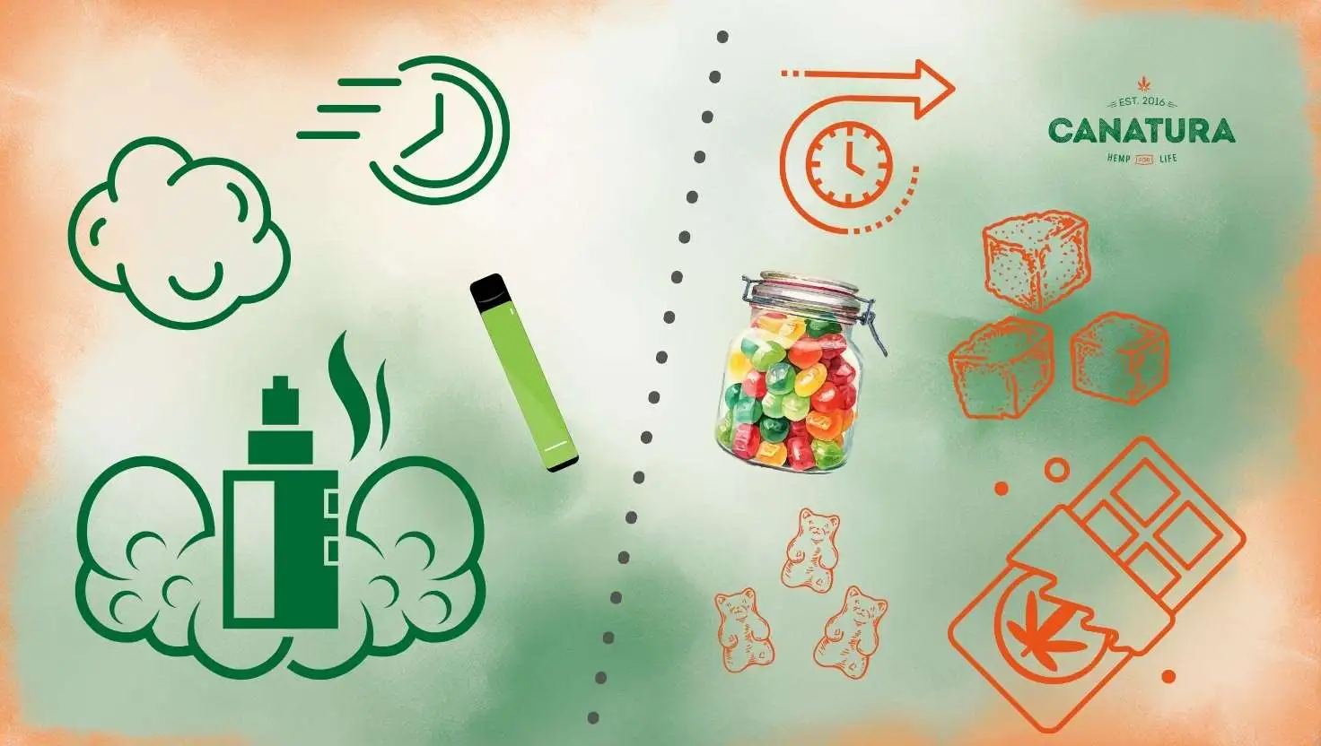 The infographic shows that the effects of HCT are faster when vaporised but last for a shorter period of time, while edibles have a slower onset but a longer-lasting effect. The Canatura logo is shown in the top left corner