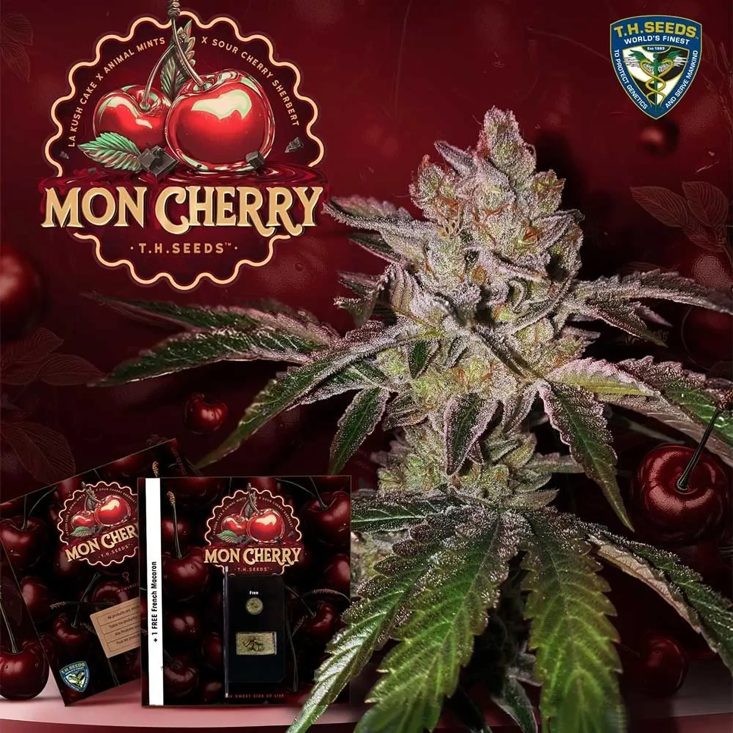 T.H.Seeds™ Semená kanabisu Mon Cherry, rôzne balenie, feminizované 2 ks
