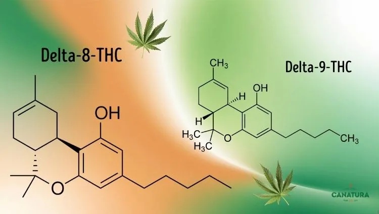 Comparison of the chemical structure of delta-8-THC and delta-9-THC with different double bond positions in the molecule, Canatura logo at bottom right