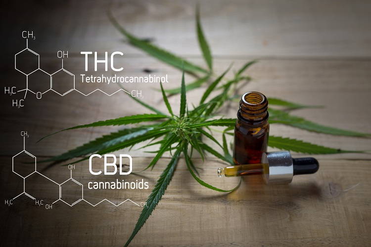 Two cannabis leaves with a dropper bottle on a wooden surface; labeled molecular structures of THC and CBD are shown next to them.