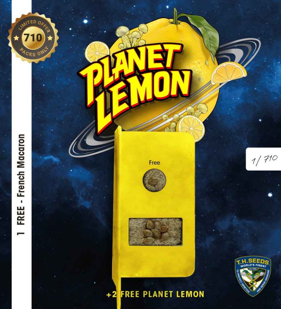 T.H.Seeds™ Cannabis Seeds Planet Lemon, rôzne balenie, feminizované 2 ks