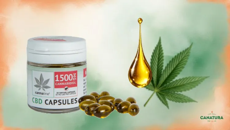 Cannaline CBD capsules, drop of CBD oil, hemp leaf, Canatura logo at bottom right.