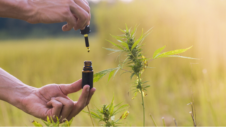 CBD oil may help with some symptoms of diabetes