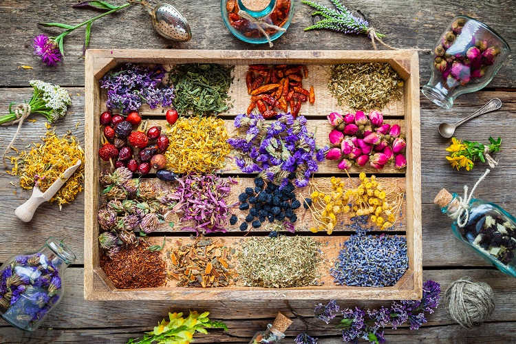 Different types of herbs on a wooden board