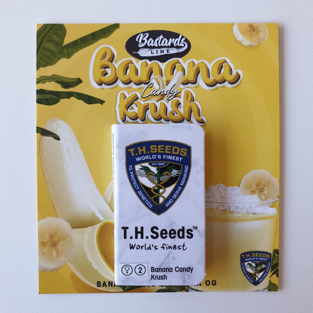 T.H.Seeds™ Rad Cannabis Seeds Bastards: Banana Candy Krush, rôzne balenia, feminizované 2 ks
