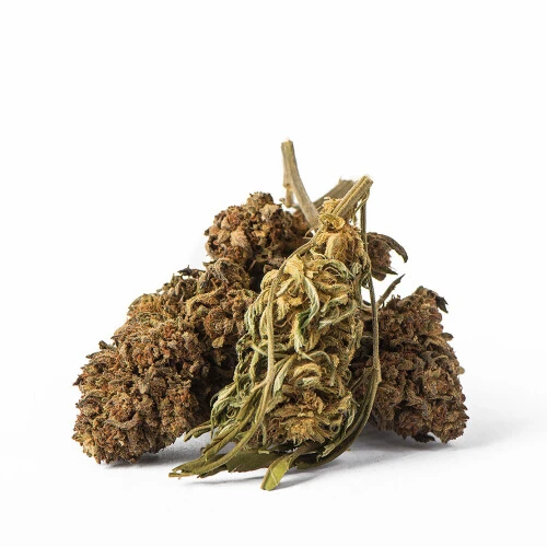 Euphoria CBD Weed Platinum Sour Apple, 100 g