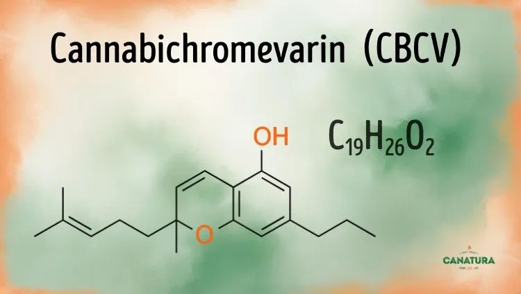 Cannabichromevarin C19H26O2