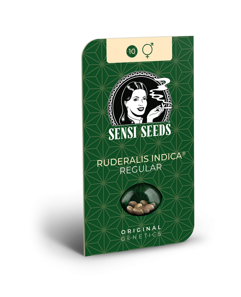 Sensi Seeds Cannabis Ruderalis Indica® Regular, 10 ks