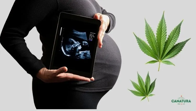 Pregnant woman holding an ultrasound image, cannabis leaves next to her, the effect of marijuana on fetal development and maternal health, Canatura logo at bottom right