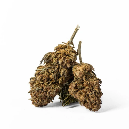 Euphoria CBD Weed Platinum Sour Apple, 100 g