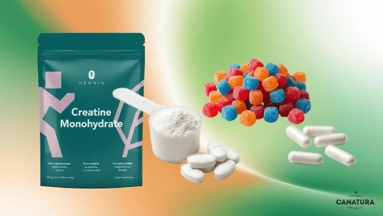 Best forms of creatine: Hemnia powder, powder in a measuring spoon, tablets, capsules and gummies, Canatura logo in the lower right corner.