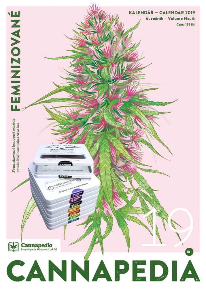 Kalendář 2019 – Gefeminiseerd + 15 x Dutch Passion en 6 x Seed Stockers