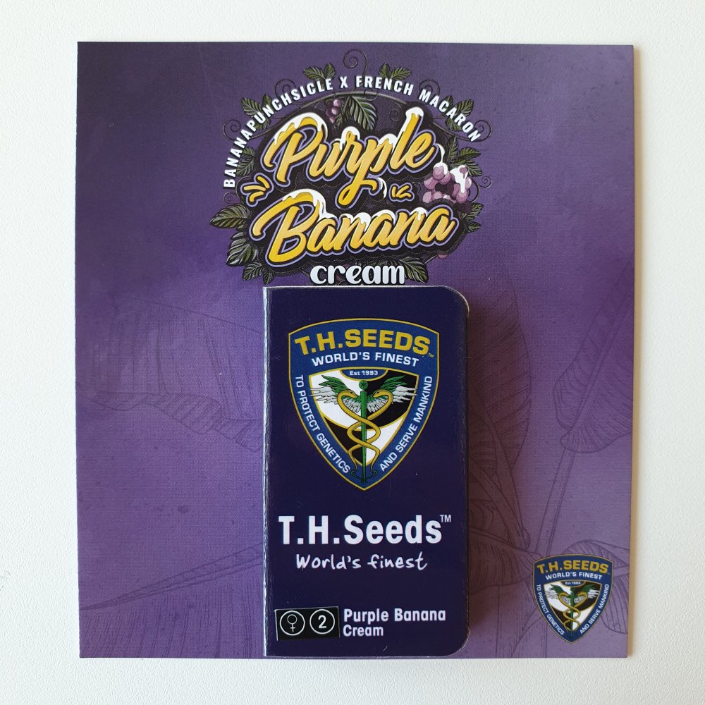 T.H.Seeds™ Krém s fialovým banánom z kanabisových semienok, rôzne balenie, feminizovaný 2 ks