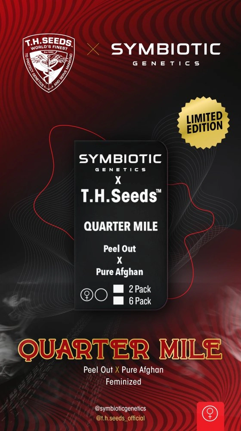 T.H.Seeds™ X Symbiotics Cannabis Seeds Quarter Mile, feminizované 2 ks