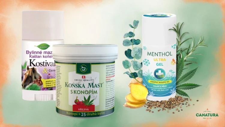 Cannabis salve offerings: Bione, Swiss Quality, Annabis, bottom right: Canatura logo.