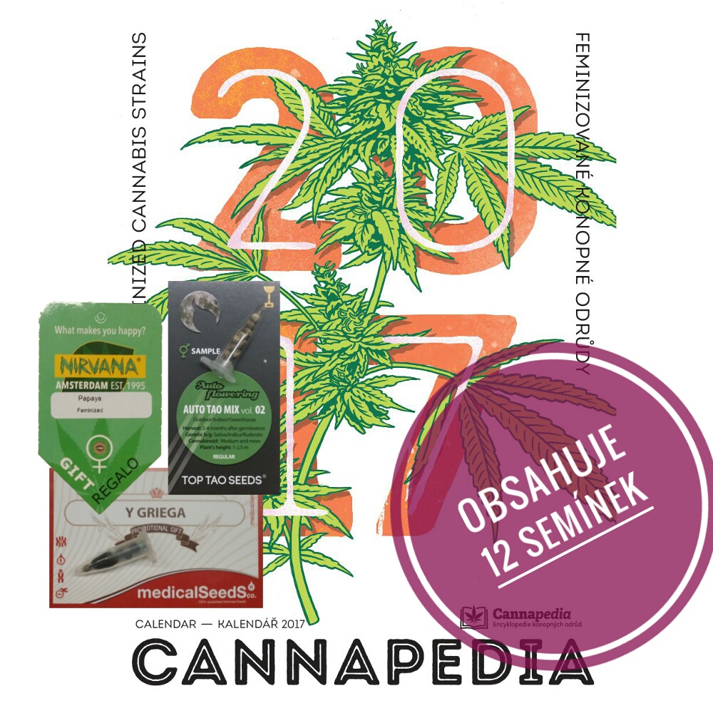 Kalendář Cannapedia 2017 - Vrouwelijke konopné-odrůdy + 3 balení seminek