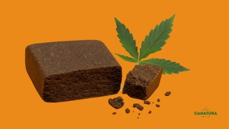 Ketama Morocco hash and cannabis leaves on an orange background, bottom right Canatura logo