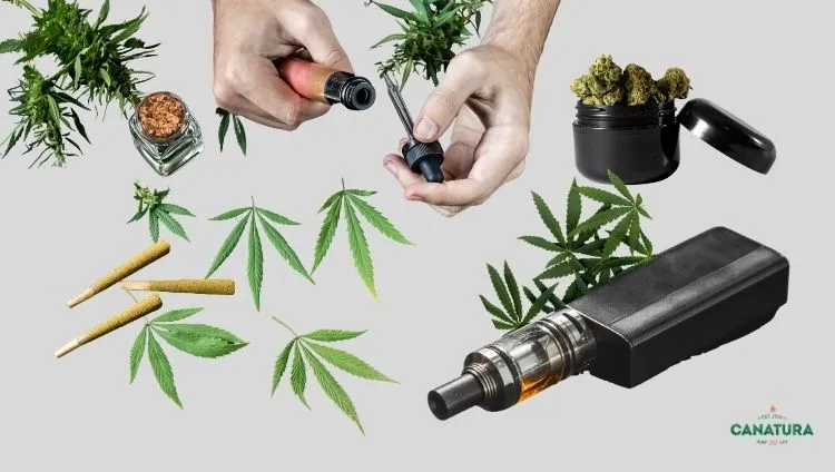 Methods of cannabis consumption: smoking and vaping